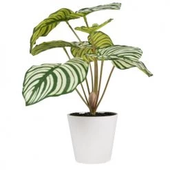 Acheter ✨ Maisons Du Monde Fleurs Artificielles Et Bouquets Plante En Pot 😀