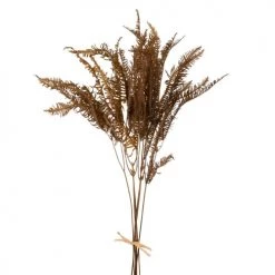 Sortie 🎉 Maisons Du Monde Fleurs Séchées Plante Séchée Marron ✨