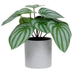 Remise ✨ Maisons Du Monde Fleurs Artificielles Et Bouquets Plante Verte Artificielle Et Pot Gris - Lot De 2 😀