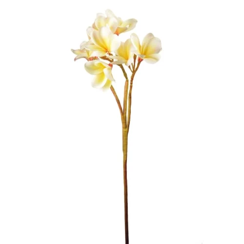 Coupon 🧨 Sia Deco Décoration De Jardin Plumeria H65cm 🔔