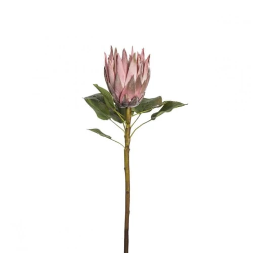 Promo 🎉 Sia Deco Décoration De Jardin Protea Artificiel King ✨