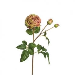 Meilleure vente 🌟 Sia Deco Décoration De Jardin Rose Artificielle Agathe H55cm 🌟