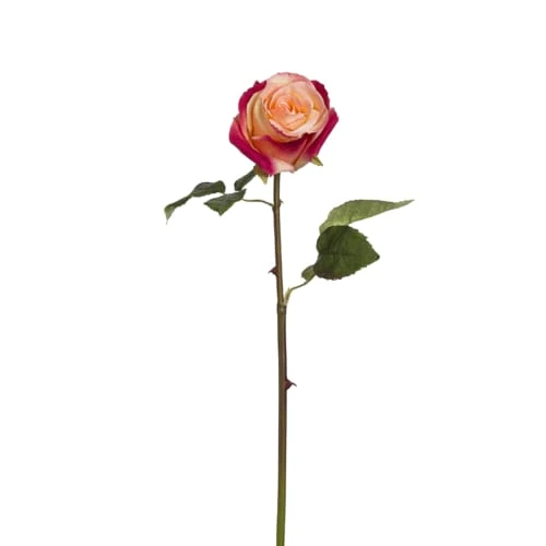 Bon marché 🥰 Sia Deco Décoration De Jardin Rose Artificielle Diane H53cm ❤️