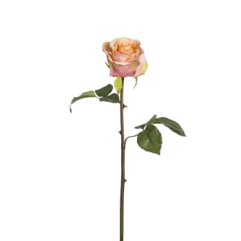 Top 10 🌟 Sia Deco Décoration De Jardin Rose Artificielle Diane H53cm 😀 – Image 5