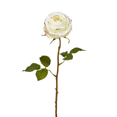 Le moins cher 🌟 Sia Deco Décoration De Jardin Rose Artificielle Emma H48cm 😍