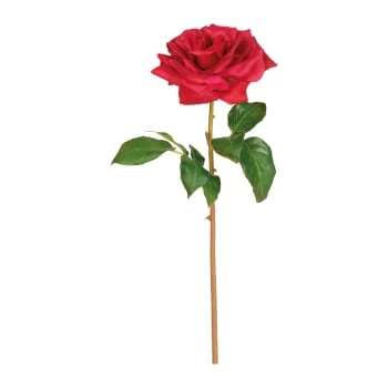 De gros 👍 Sia Deco Décoration De Jardin Rose Artificielle Rosie 🧨 – Image 3