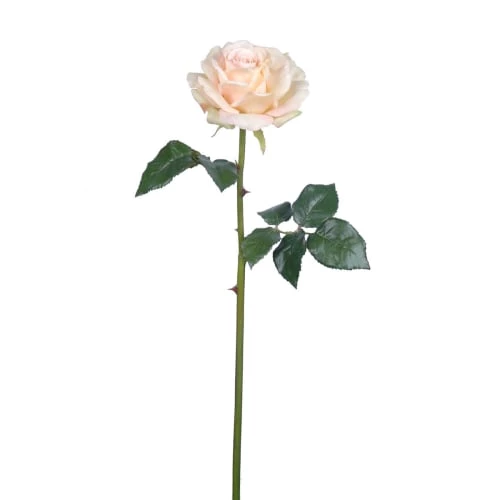 Promo 🔔 Sia Deco Décoration De Jardin Rose Artificielle Sarah H57cm 👏