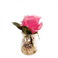Budget 👍 Sia Deco Décoration De Jardin Rose En Eau Magique Beauty 🎁