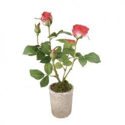 Remise 🔔 Sia Deco Décoration De Jardin Rosier En Pot 🔔