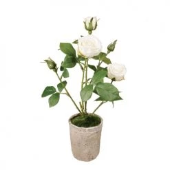 Vente flash 🔥 Sia Deco Décoration De Jardin Rosier En Pot 😀