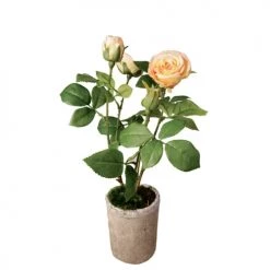 Sortie 🤩 Sia Deco Décoration De Jardin Rosier En Pot ✔️