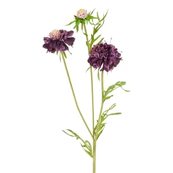 Offres 🔥 Sia Deco Décoration De Jardin Scabiosa Fleurie 👍 – Image 3
