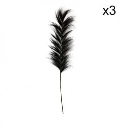 Le moins cher 💯 Now’s Home Fleurs Séchées Set De 3 Décorations En Fibres Végétales Noires 200-220 Cm ❤️