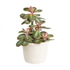 Acheter 🔥 Sia Deco Décoration De Jardin Succulente Artificielle En Pot Crassula Hummels 🌟