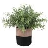 De gros 🎁 Maisons Du Monde Fleurs Artificielles Et Bouquets Succulente Artificielle Et Pot En Jute Bicolore H18 👍