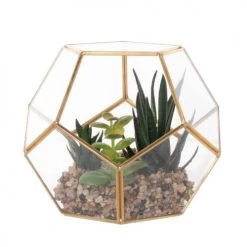 De gros 🎉 Maisons Du Monde Fleurs Artificielles Et Bouquets Succulente Artificielle Et Terrarium Transparent Et Doré 😉