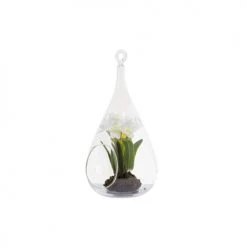 Budget 😍 Sia Deco Décoration De Jardin Suspension Narcisse Sous Verre Noël 🤩