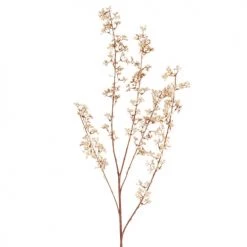 Les meilleures critiques de 😍 Maisons Du Monde Fleurs Artificielles Et Bouquets Tige Artificielle Beige H87 ✨