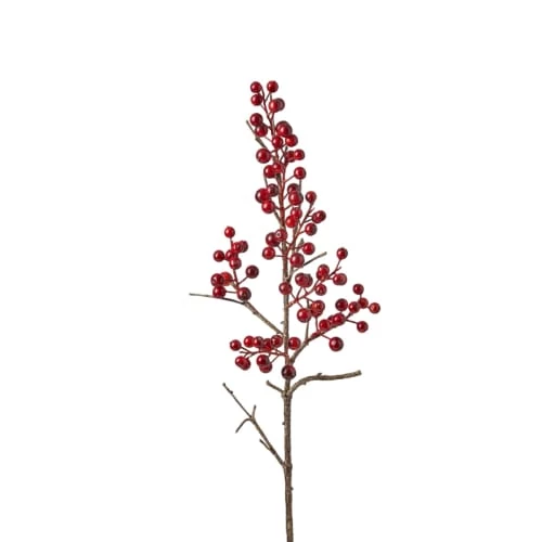 Remise ⭐ Sia Deco Décoration De Jardin Tige De Baies H70 💯