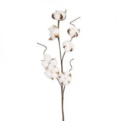Grosses soldes 💯 Maisons Du Monde Fleurs Séchées Tige De Coton Séché Blanc Et Marron 🛒