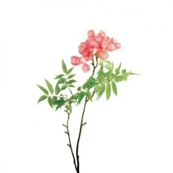 Les meilleures critiques de 🎁 Sia Deco Décoration De Jardin Tige De Drapeau Belge ✔️