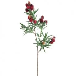 Remise ✔️ Sia Deco Décoration De Jardin Tige De Fustet Commun H75cm 🧨