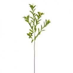 Vente flash 🛒 Sia Deco Décoration De Jardin Tige De Gecko ⭐