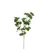 Tout neuf ✨ Sia Deco Décoration De Jardin Tige De Ginkgo ❤️