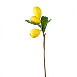 Sortie ⌛ Sia Deco Décoration De Jardin Tige De Nèfle 🎁