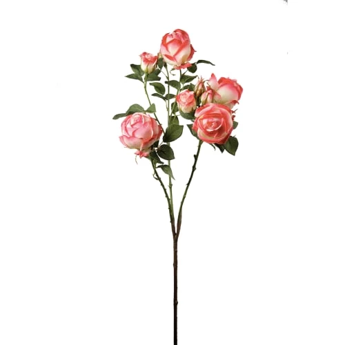 Meilleur prix 🌟 Sia Deco Décoration De Jardin Tige De Roses 🛒