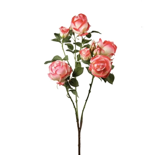 Meilleur prix 🌟 Sia Deco Décoration De Jardin Tige De Roses 🛒 – Image 2