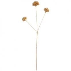 Offres ❤️ Maisons Du Monde Fleurs Artificielles Et Bouquets Tige Fleurs Artificielles Blanches H63 😀