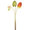 Offres 🧨 Sia Deco Décoration De Jardin Trio D'Anthurium 🎉