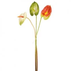 Offres 🧨 Sia Deco Décoration De Jardin Trio D'Anthurium 🎉